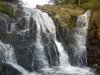 21022010023.jpg