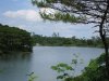 ap_20100707014645442.jpg