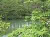 ap_20100707014646740.jpg