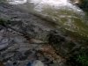 img0621_143303564.jpg