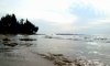 DSC06092.jpg