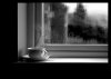 cafe.jpg