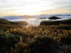 320115_476027342415368_1366262223_n.jpg