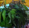 Quangtri360-la-trong.jpg