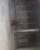 IMG0125A.jpg