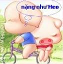 enviboy