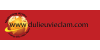 dulieuvieclam10