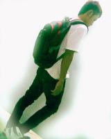 fan_south