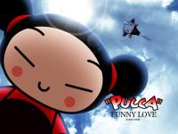 be puca