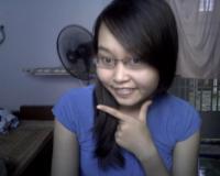 sunflower_276