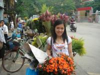 cobebuongbinh2911