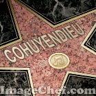 cohuyendieu