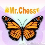 Mr.Chess