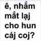 quangtrihlqt
