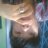 Đức Nv